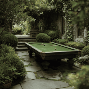 shuffleboard